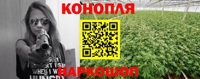 каннабис Кингисепп