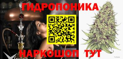 дживик Канаш