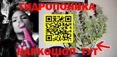 jwh Камышлов