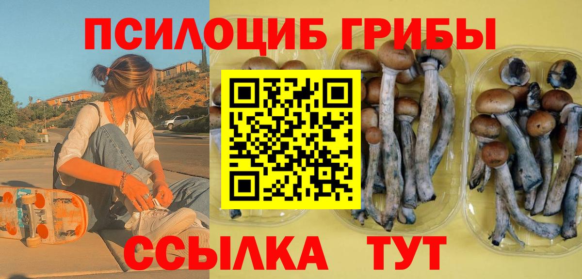 Псилоцибиновые грибы мицелий  Вход с VPN  где можно купить наркотик  Галлюциногенные грибы Psilocybine cubensis  Кызыл 