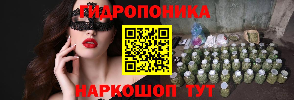 Бошки Шишки конопля  Вход с VPN  Кызыл  Бошки Шишки AK-47 